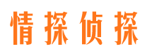 陕县情探私家侦探公司